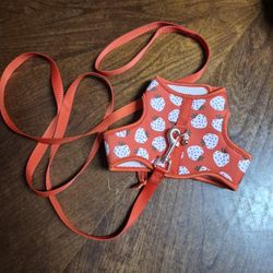 Small Pet Harness And Leash