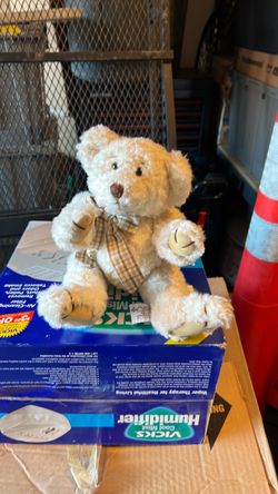 13” white bear