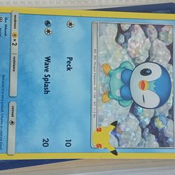 Pokémon Pick Up Only