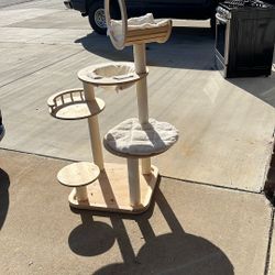 Cat Climber, 5 Levels 