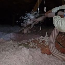 Attic Insulation