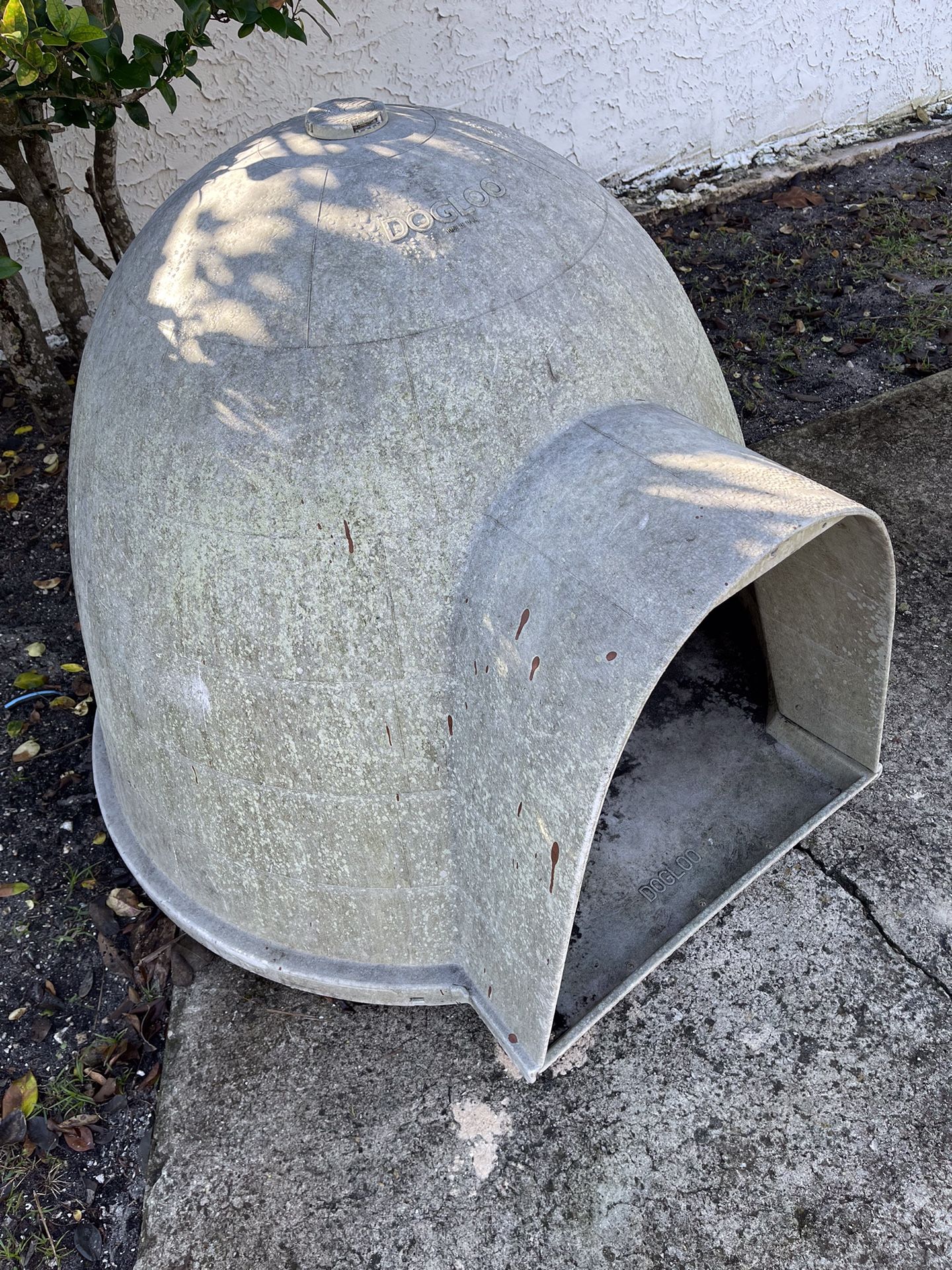 Dog House