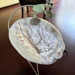 Baby Bouncer 