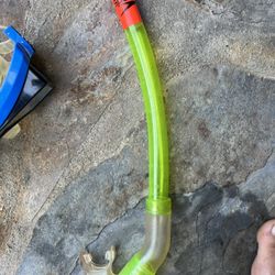 Snorkels.