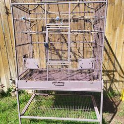 Parrots and Birds Cages 
