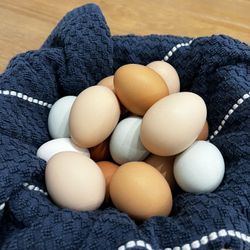 Farm Fresh Organic Eggs