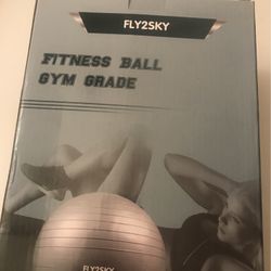 Profesional Grade Exercise Ball Brand New
