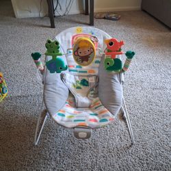 Baby Bouncer