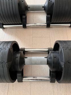 Bwss adjustable dumbbell sale