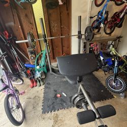 Golds Gym Weight Bench, Weights + Misc Workout Accessories 