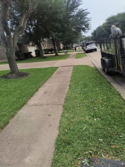 Grass cut