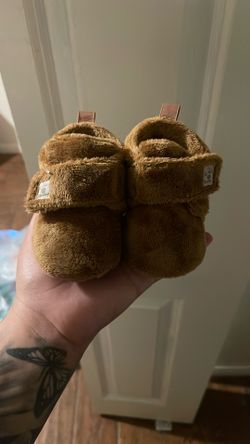 Bear paw 3