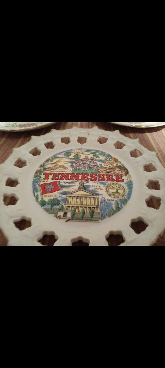 Tennessee Souvenir Plate