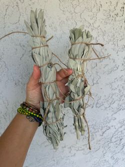 White Sage Smudge Sticks Homegrown & Prepared