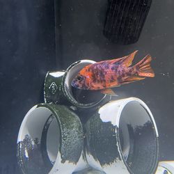 Aquarium Fish Tank Rocks Decorations