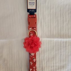 Top Paw Dog Collar