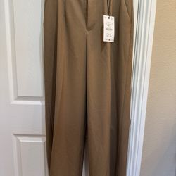 Zara Wide Leg Brown Pants Size Small NWT