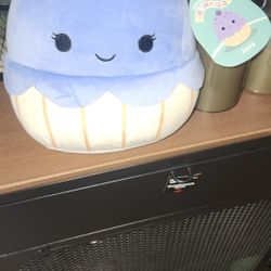 Squishmallow 