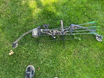 Hoyt Compound Bow