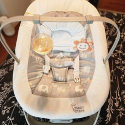 Baby Bouncer