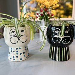 Cute little planters