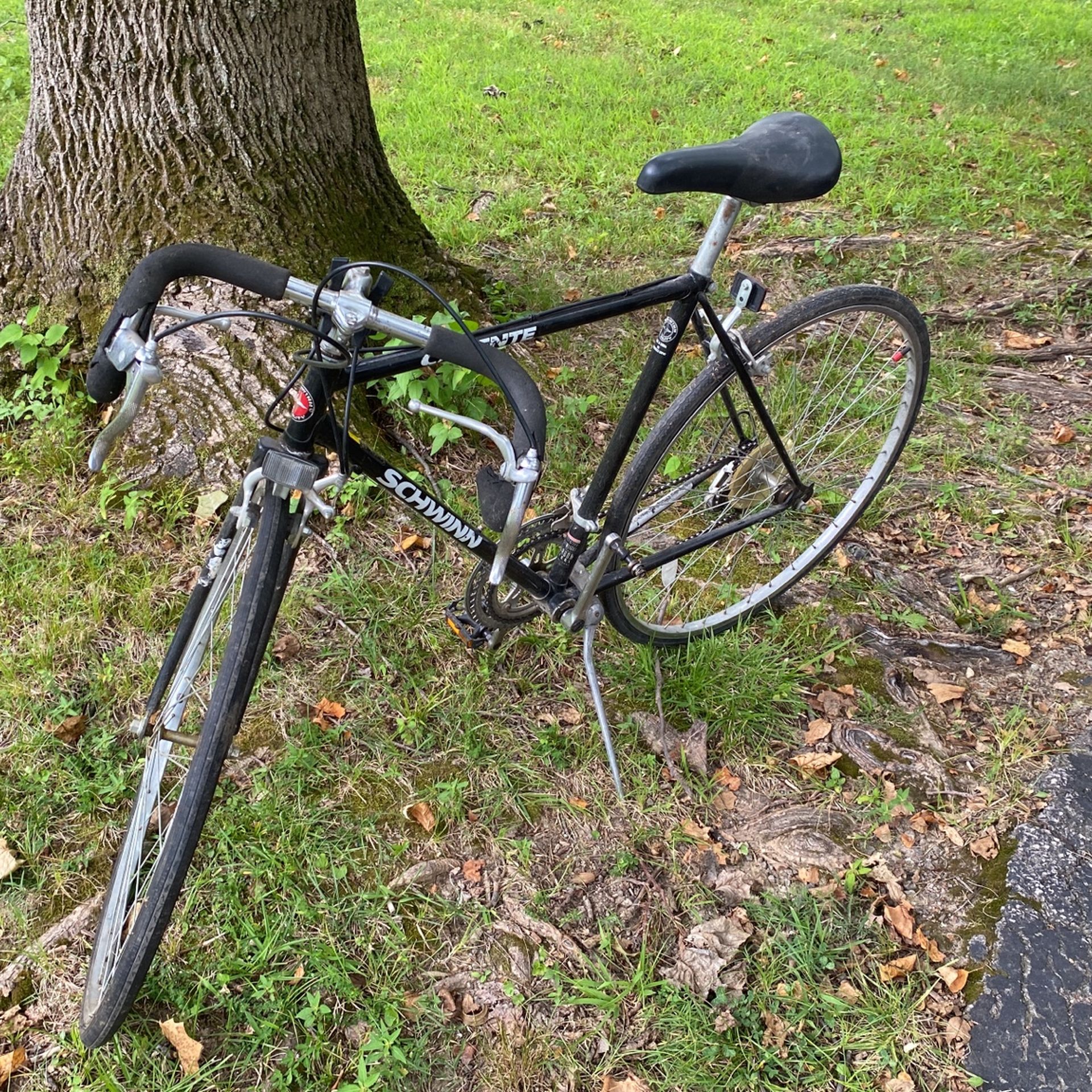 Caliente Schwinn Bicycle