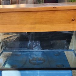 40 Gallon With Pine Canopy