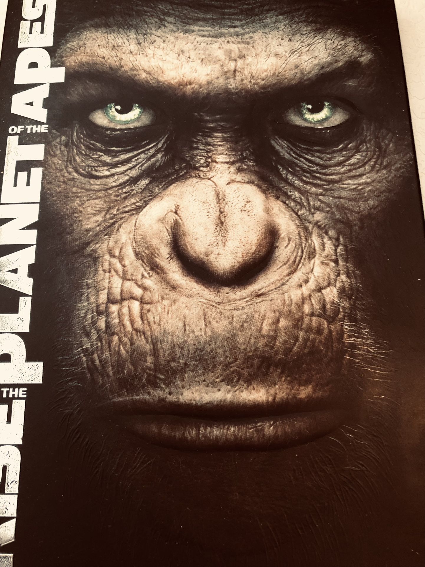 The Rise Of The Planet Of The Apes