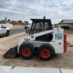 Bobcat