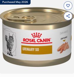 Cat Food - Wet
