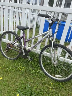 Bike Ava Now 60 Dollars 