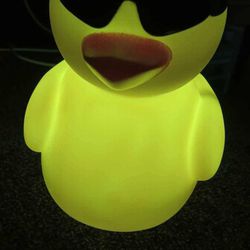 Cute Duck Lamp, Gets Brighter Every Tap