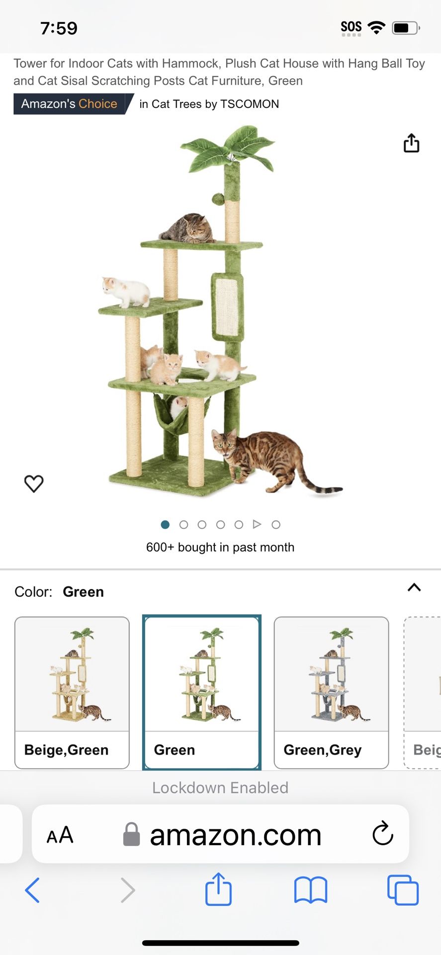 Cat Toe With Tree