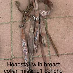 Horse Tack 
