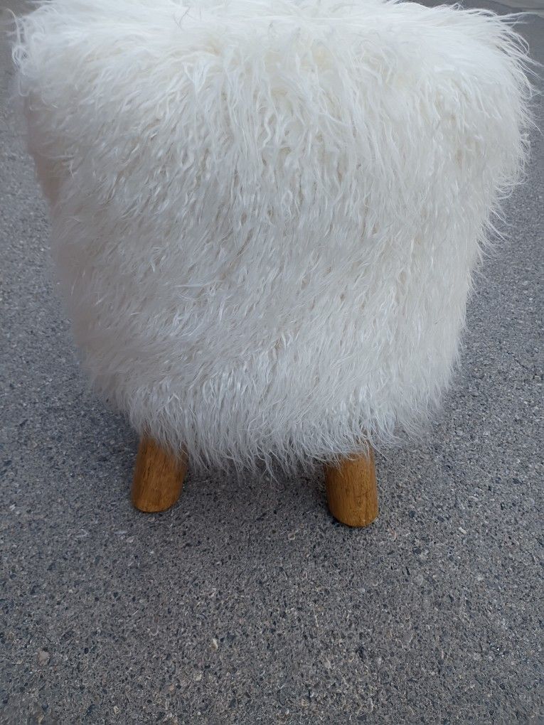 Pottery Barn Mongolian Faux Fur Stool ($299 new). 17" wide, 20" tall
