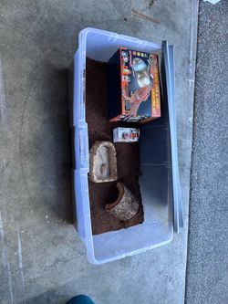 Tortoise supply’s! FREE