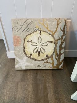 Sand Dollar Art Great Deal Best Offer