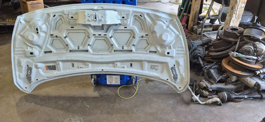 Ford transit connect hood