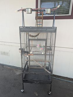 Bird Cage