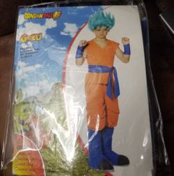 Halloween  Costume 