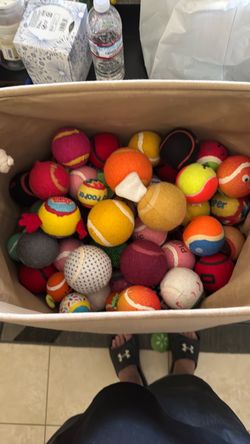 Barkbox Tennis balls dog