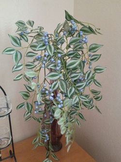 Plant Decor
