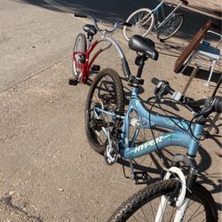 2 Seater Bicycle 
