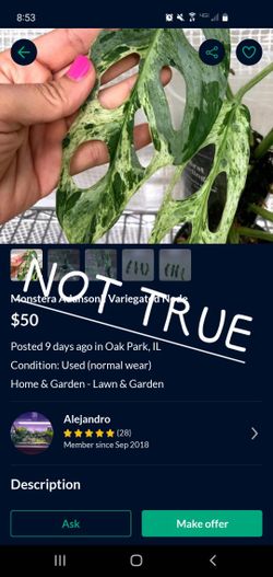 PLANT Scam