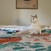 Yuki