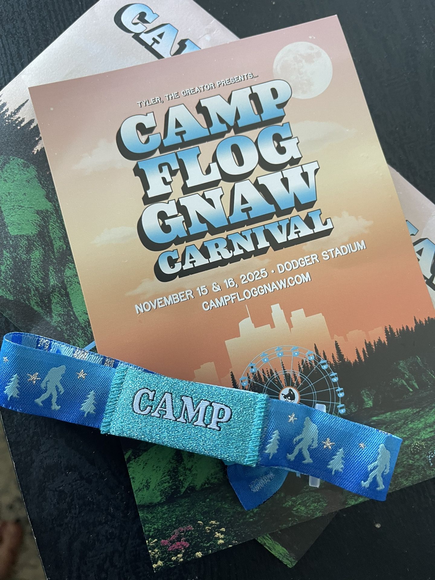 CAMP FLOG GNAW(2025) 2 Day GA