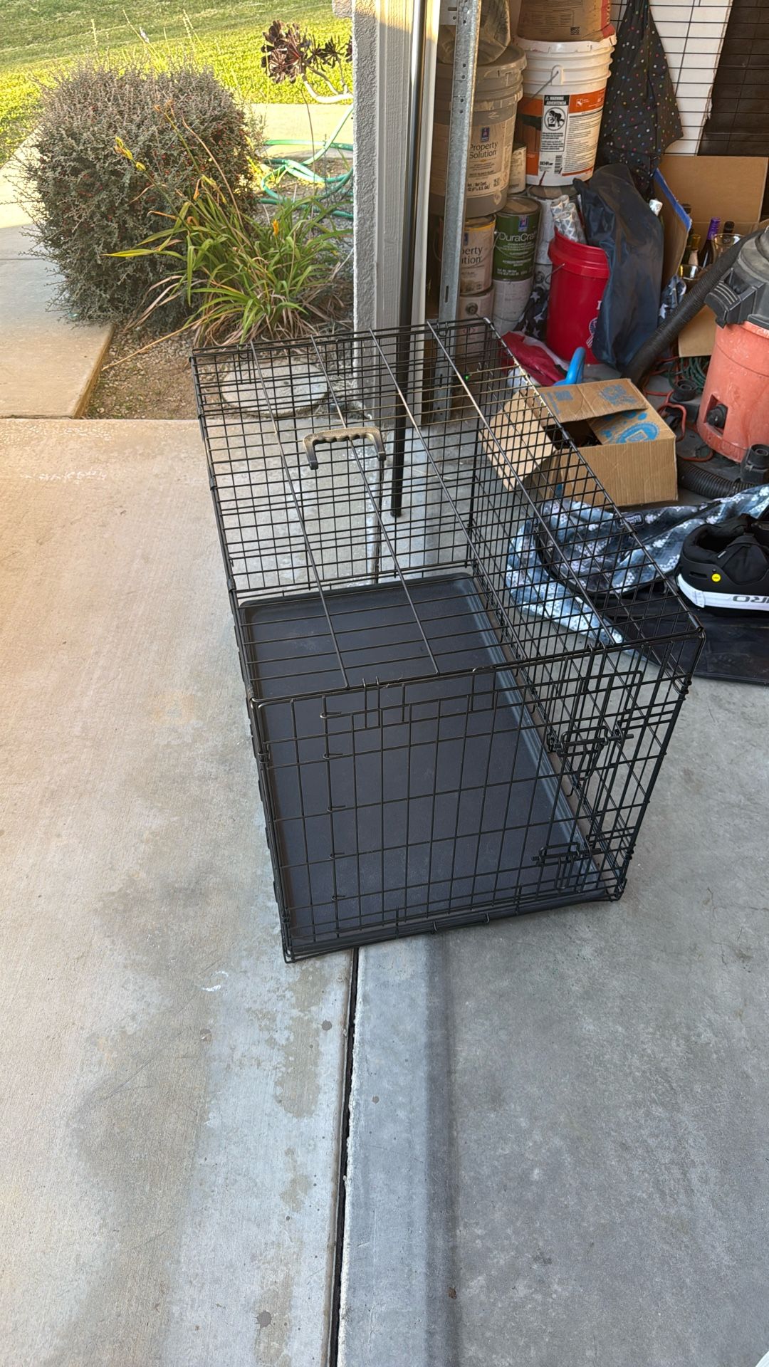 Dog Kennel