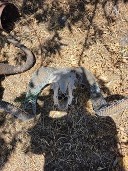 Estate sale