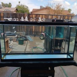 55 Gallon Fish Tank With Outside Pump