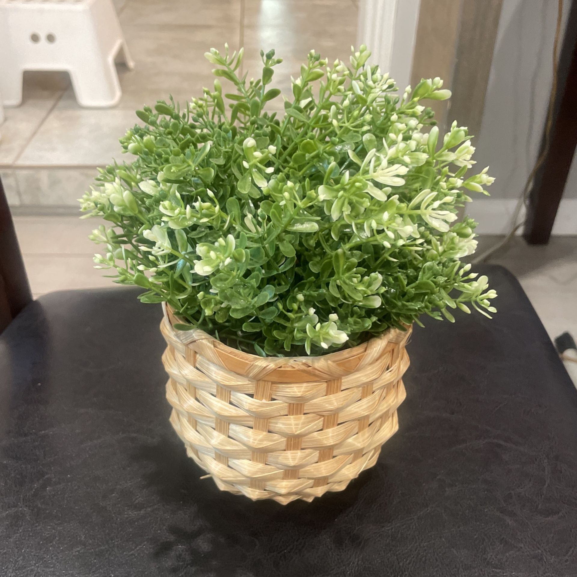 Fake Plant 